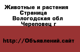  Животные и растения - Страница 10 . Вологодская обл.,Череповец г.